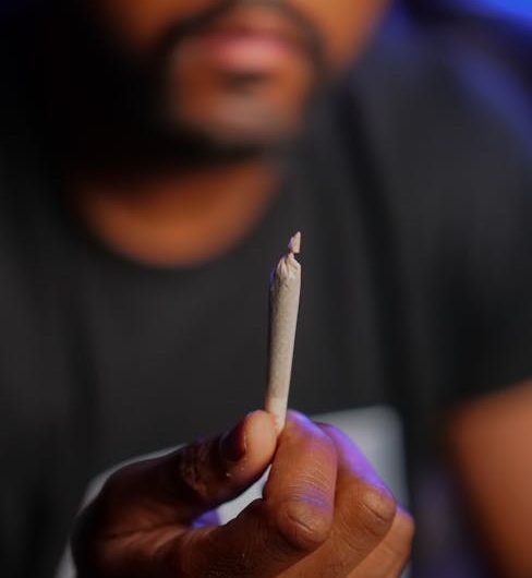 Цена Семян Конопли