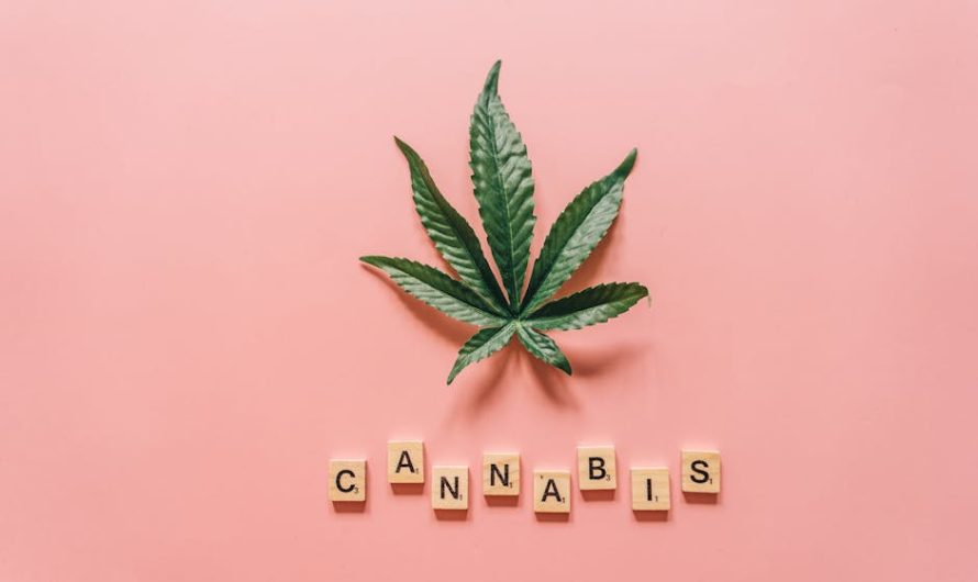 Семена конопли и их использование