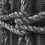 Хранение и использование семян конопли в различных отраслях image_119.jpg