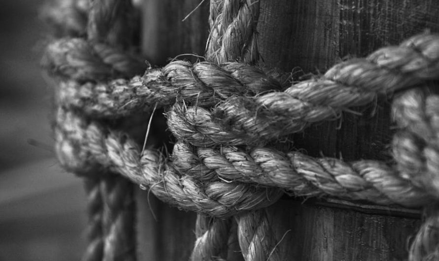 Хранение и использование семян конопли в различных отраслях