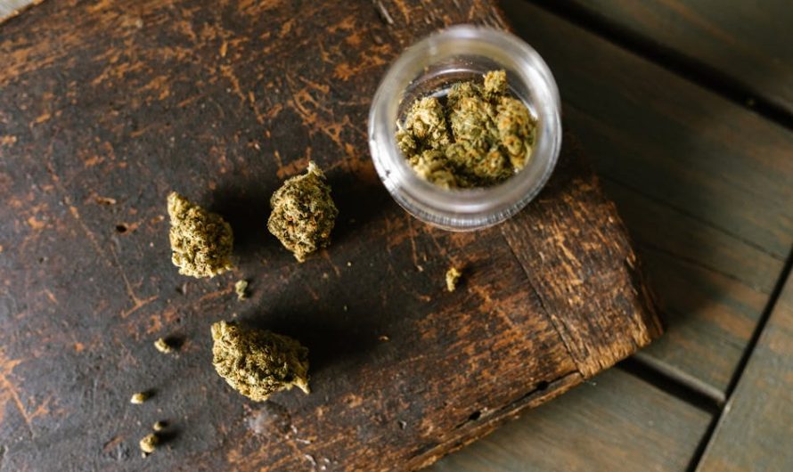 Семена марихуаны особенности хранения и проращивания