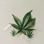 Особенности покупки и продажи семян конопли image_142.jpg