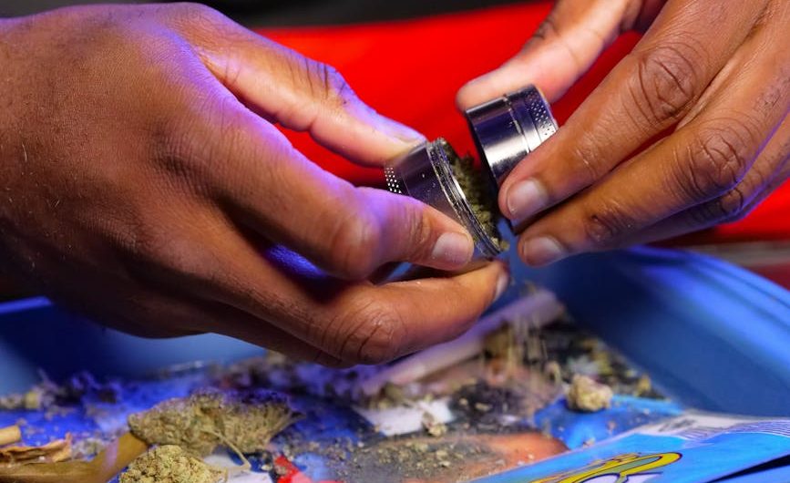 Как найти семена марихуаны