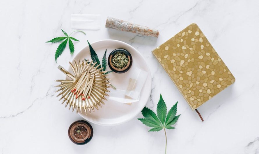 Выращивание марихуаны с помощью гидропоники