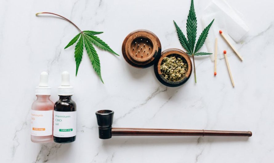 Покупка семян для выращивания марихуаны