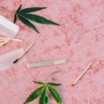 Семена Конопли в Петербурге Применение и Приобретение image_167.jpg