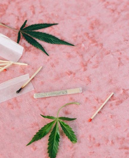 Семена Конопли в Петербурге Применение и Приобретение