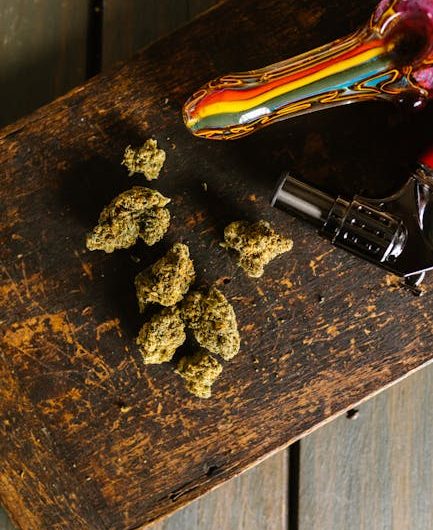 Стратификация семян конопли