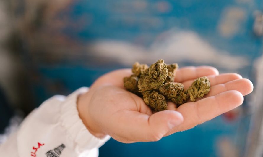 Покупка семян марихуаны наложенным платежом особенности и преимущества