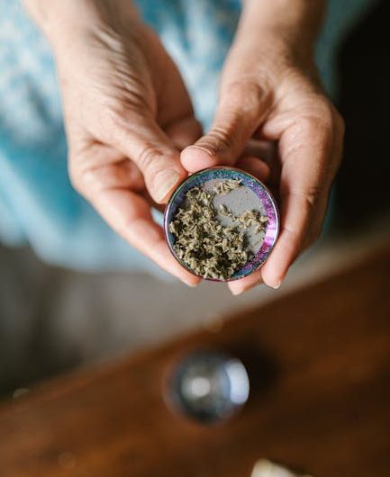 Проращивание семян конопли способы и уход