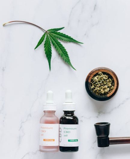 Проращивание семян марихуаны: подробная инструкция