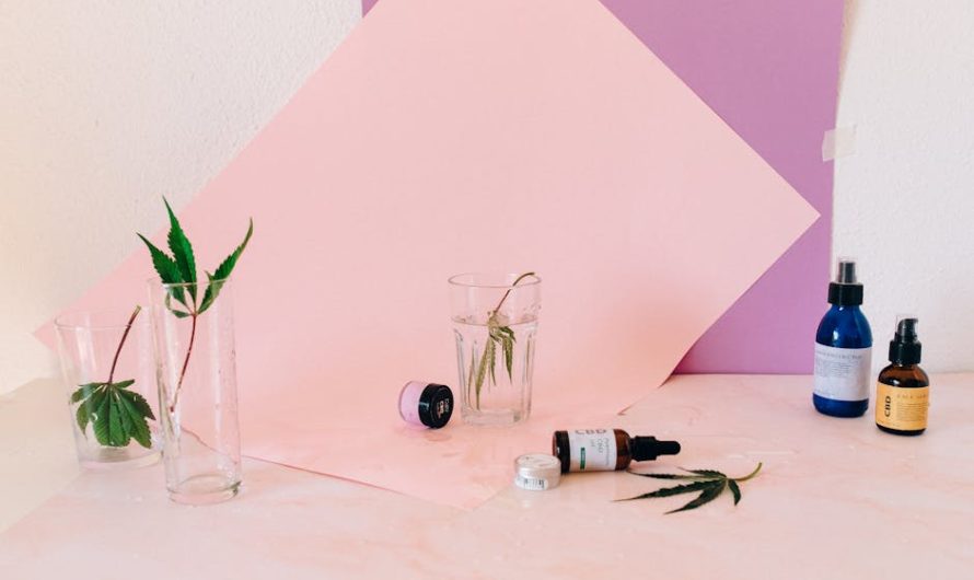 Сорт конопли Auto White Chere от Ganja Seeds