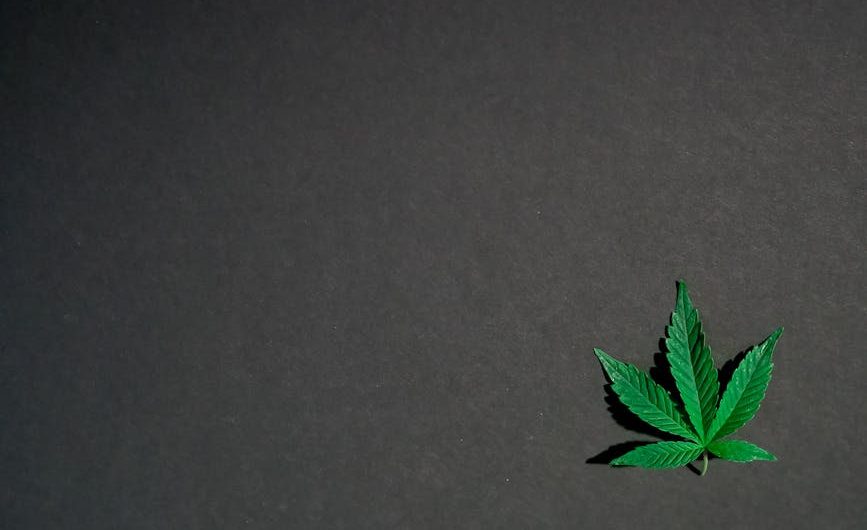 Правовой статус семян марихуаны в России