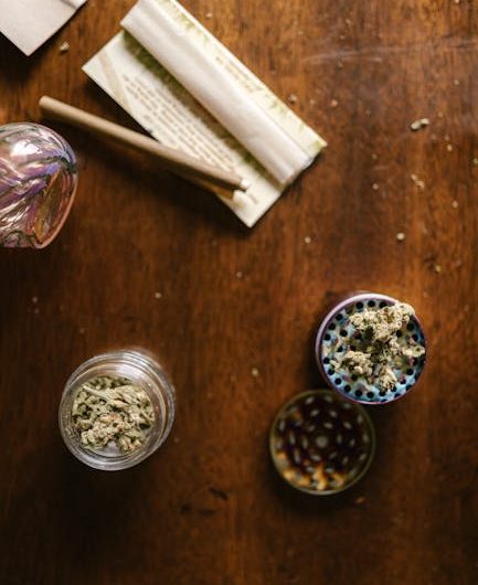 Проращивание семян конопли: пошаговое руководство