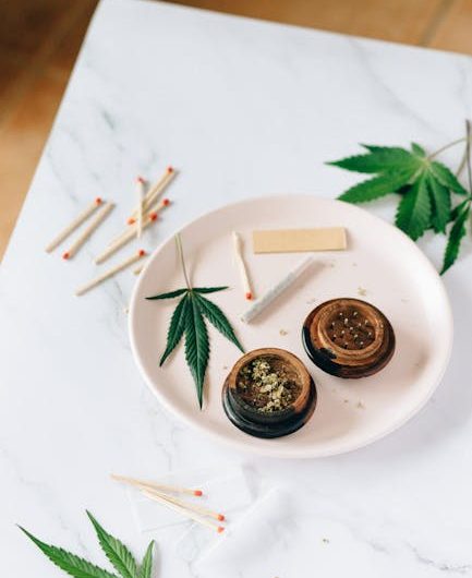 Семена конопли Snow White Amsterdam feminised от Ganja Seeds