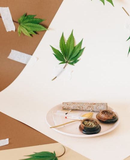 Семена конопли Auto Silver feminised от Breeders Community Seeds