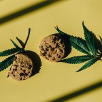 Семена конопли Deep Cheese feminised от Dinafem Seeds image_281.jpg