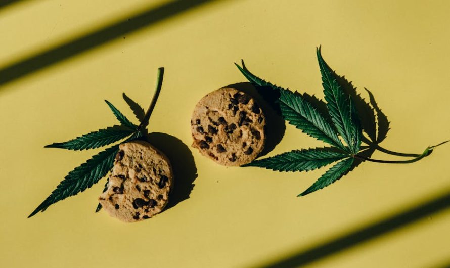 Семена конопли Deep Cheese feminised от Dinafem Seeds