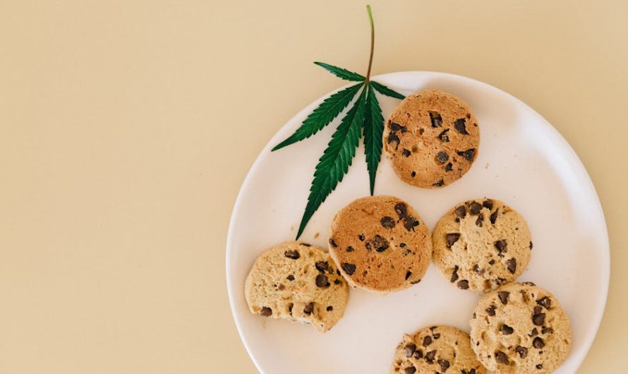 Семена конопли Auto White Widow CBD feminised от Dutch Passion Seeds