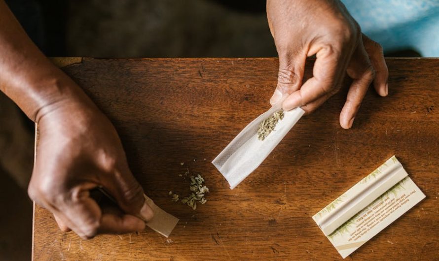 Семена марихуаны в Санкт-Петербурге: особенности приобретения и выращивания