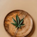 Банки конопли семена и их роль в современном сельском хозяйстве image_307.jpg