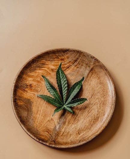 Банки конопли семена и их роль в современном сельском хозяйстве