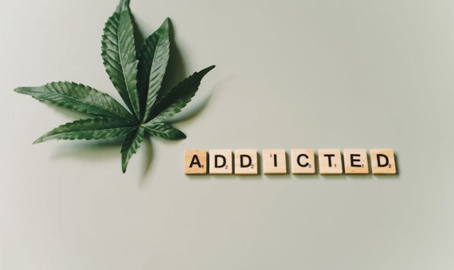 Конопляные семена полезные свойства и применение