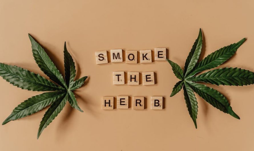 Семена конопли OG LA Affie feminised от DNA Genetics