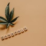 Семена Чиа и Семена Конопли Питательные Суперфуды для Здоровья image_321.jpg