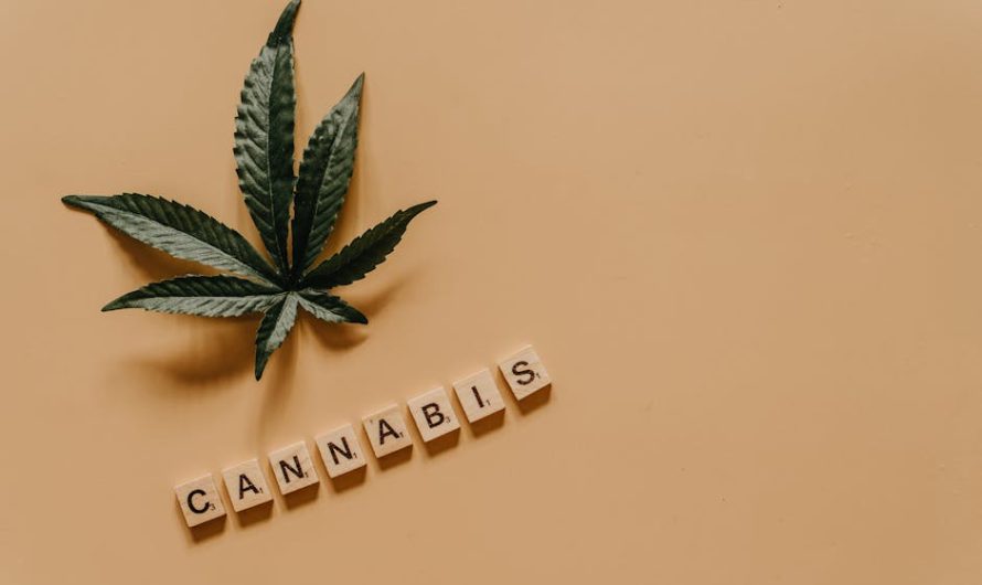 Семена Чиа и Семена Конопли Питательные Суперфуды для Здоровья