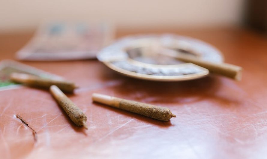 Семена конопли для попугаев: польза и где купить