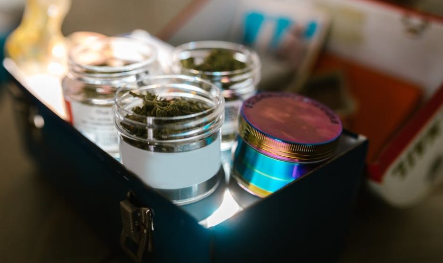 Ответственность за семена конопли