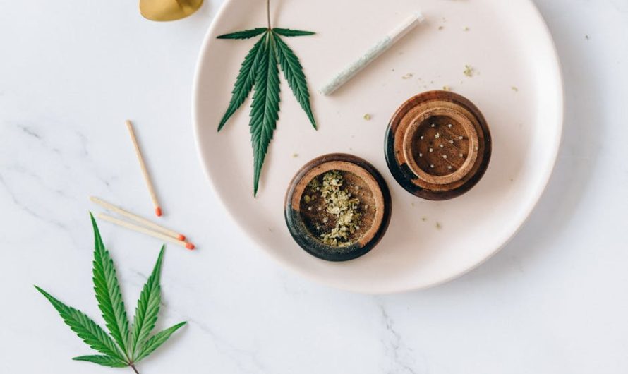 Сорт конопли Strawberry Amnesia feminised от Dinafem Seeds