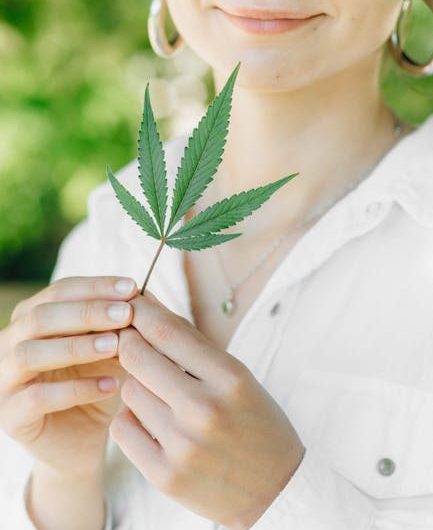 Семя конопли для рыбалки