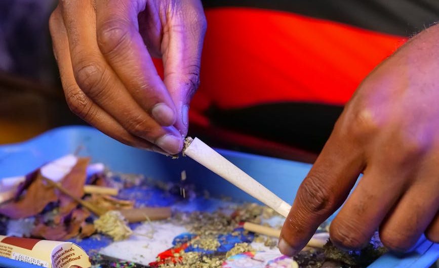 Проросшие семена конопли польза и применение