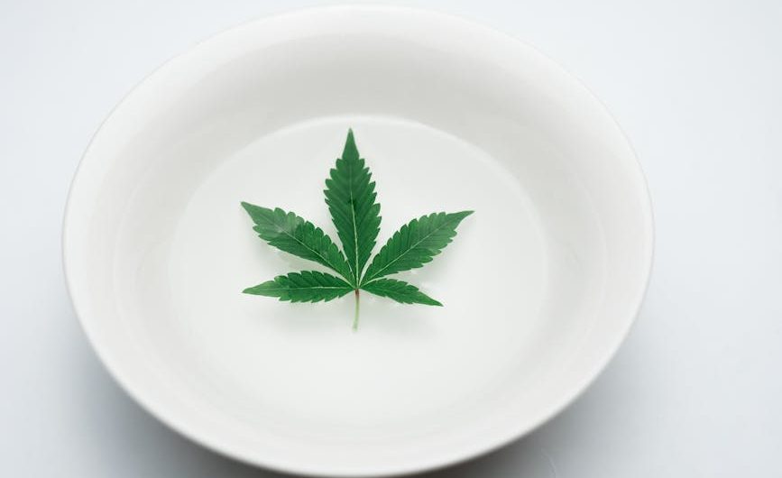 Эффективность семян конопли как прикормки для рыбалки