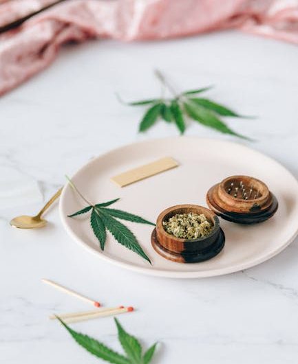 Семена конопли и грибы в кулинарии и здоровом питании