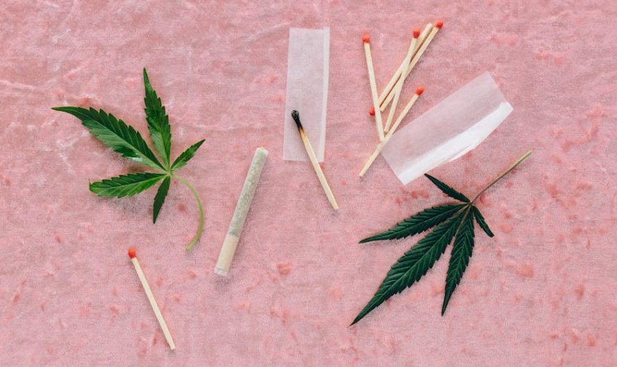 Покупка семян марихуаны в Санкт-Петербурге особенности и риски