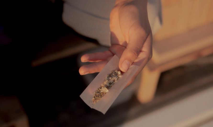 Семена конопли и их применение