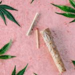 Покупка Семян Конопли с Доставкой Курьером и Уход за Растениями image_390.jpg