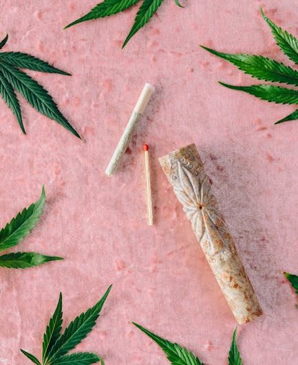 Покупка Семян Конопли с Доставкой Курьером и Уход за Растениями