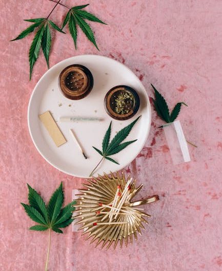 Семена конопли Raspberrry Cough от Nirvana Seeds