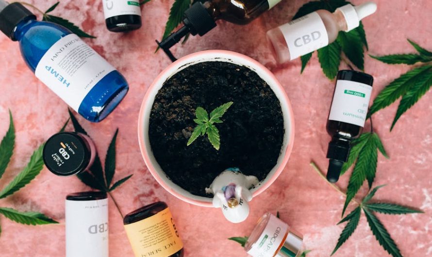 Сорт конопли Cheese feminised от Breeders Community Seeds