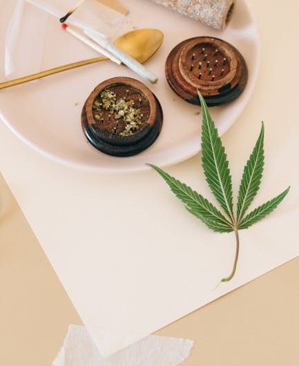 Покупка семян марихуаны онлайн: преимущества и рекомендации