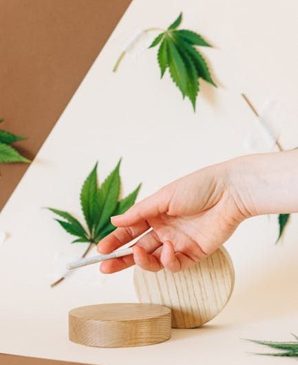 Микс семян конопли полезные свойства и применение