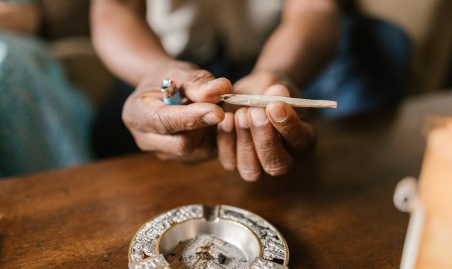 Преимущества и выбор дешевых семян конопли