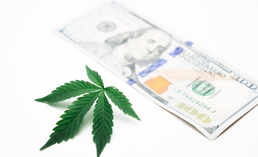 Состав и полезные свойства семени конопли