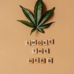 Где купить семя конопли в Минске и их полезные свойства image_417.jpg