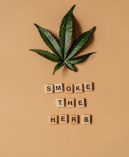 Где купить семя конопли в Минске и их полезные свойства