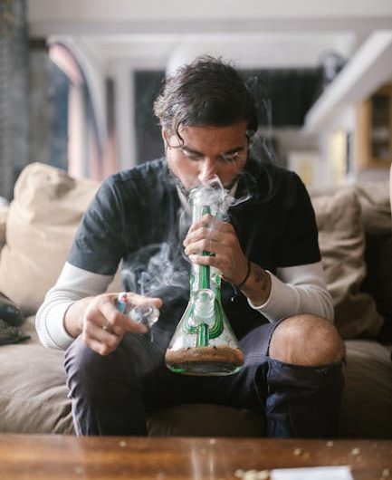 Семена конопли Auto Candy Kush от Ganja Seeds